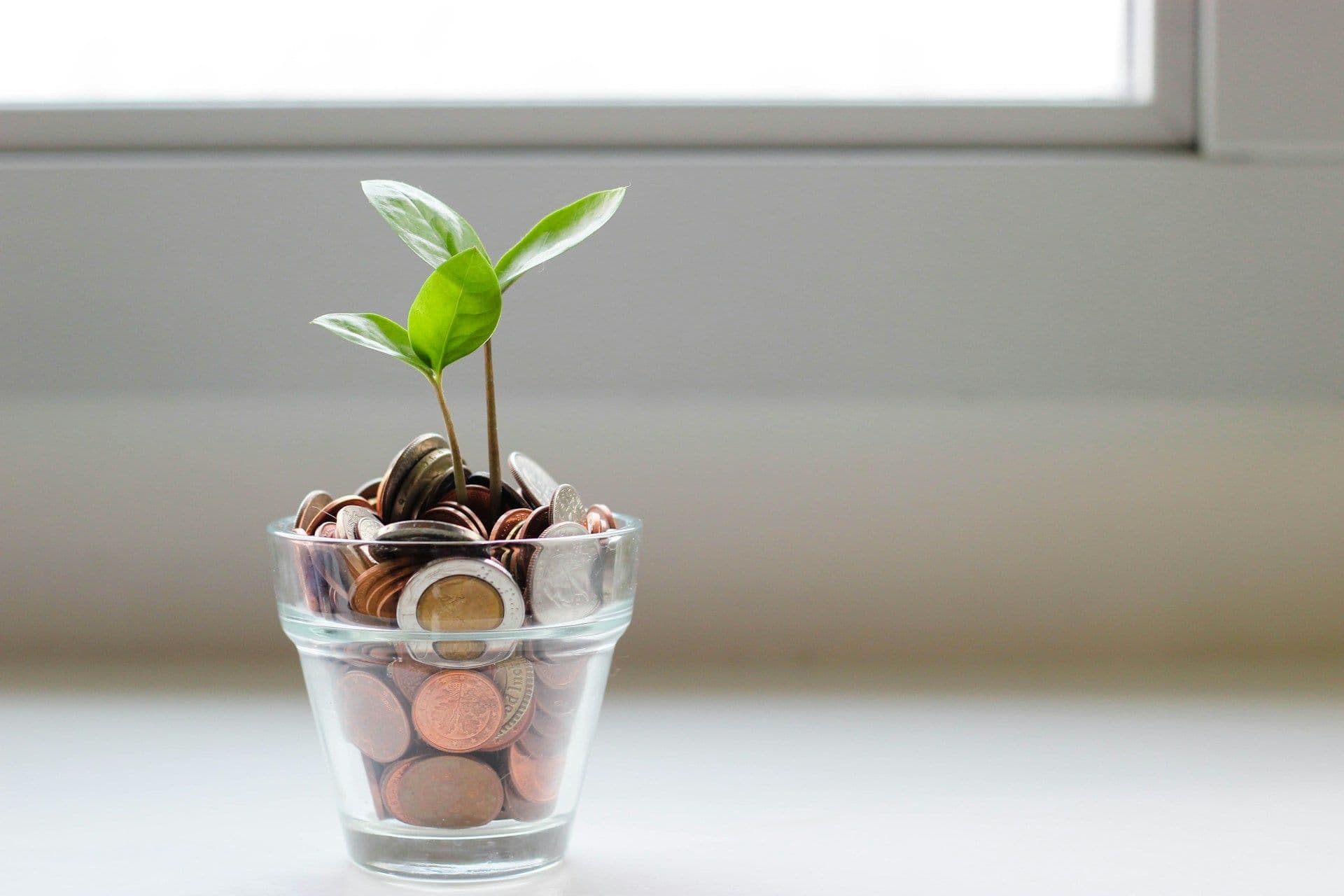 WICA Update: Higher Compensation Limits Take Effect 1 November 2025
